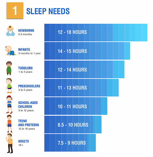 Adult Sleep Needs 81